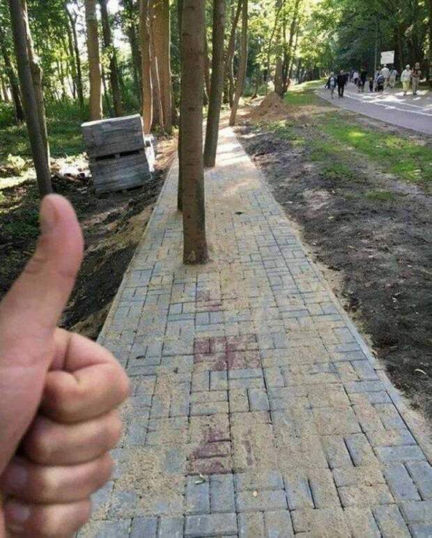 Приколы