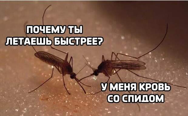 Небольшая порция юмора не для всех