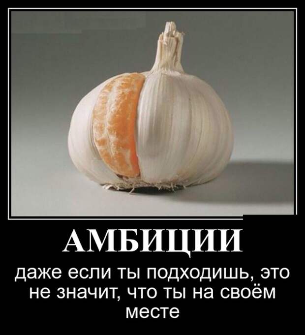 Демотиваторы (30 фото)