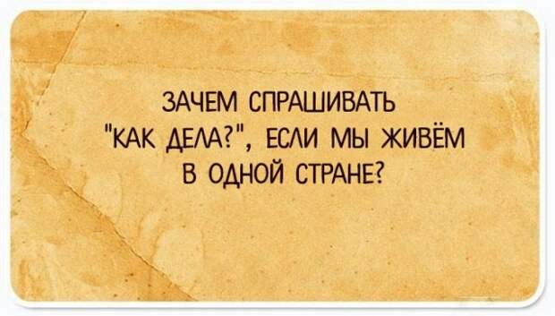Забавные рассуждения о жизни