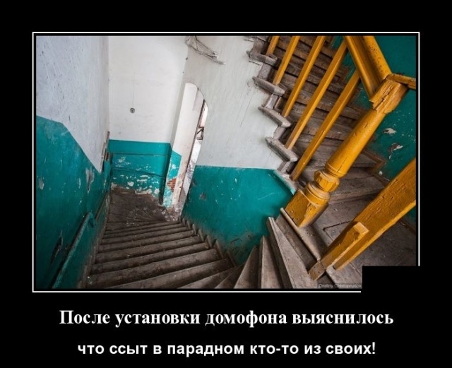 Демотиваторы