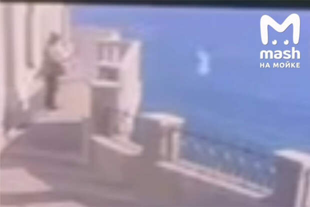 Сбросивший кошку с обрыва россиянин избежал уголовного наказания