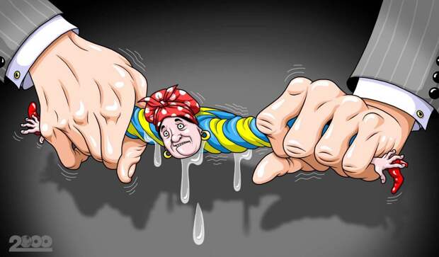 Картинки по запросу карикатуры политика украина
