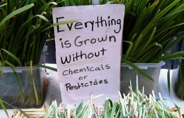 Осторожно, пестициды!