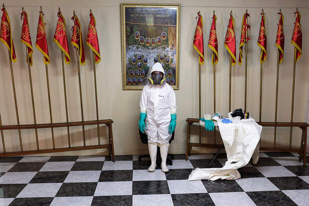Куда делась лихорадка Эбола версии, домыслы, эбола, эпидемия