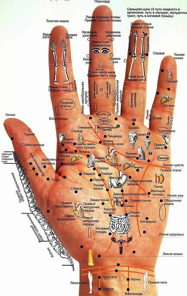 http://www.doctorate.ru/wp-content/uploads/2014/09/human-disease-displayed-hands.jpg