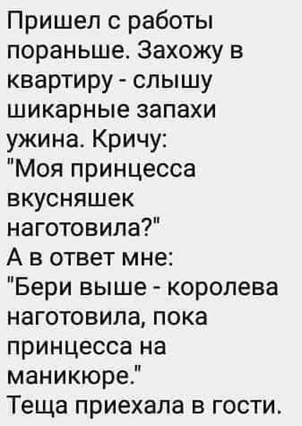 Подборка лучших шуток для настроения