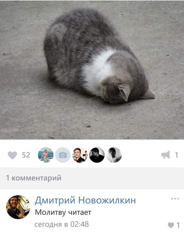 Приколы