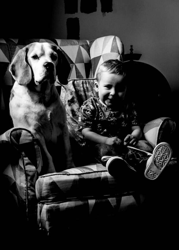 2 года (январь 2017) взросление, изменение, собака, собака - друг человека, фотограф, фотопроект