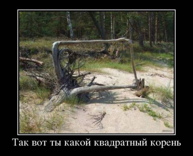 Демотиваторы (30 фото)
