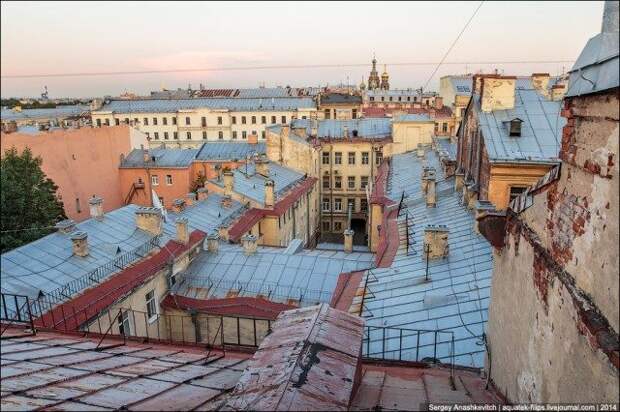 Прекрасный мир питерских крыш