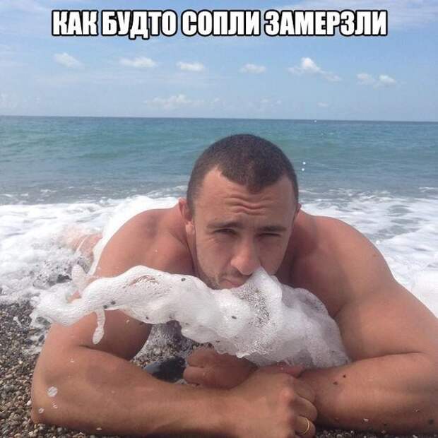 Смешные картинки с надписями прикол, юмор