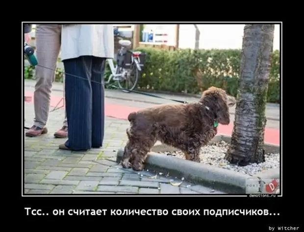 Прикольные демотиваторы для всех