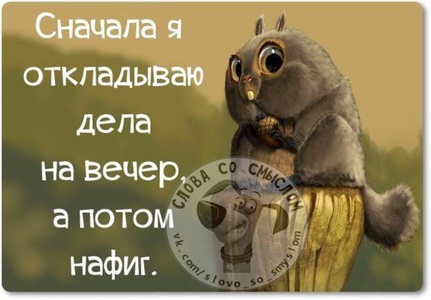 Интересные, стёбные и позитивные фразочки со смыслом (29 фото) Интересные, стёбные и позитивные фразочки со смыслом (29 фото)
