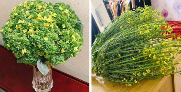 Редкие вещицы, которые мало кто видел своими глазами