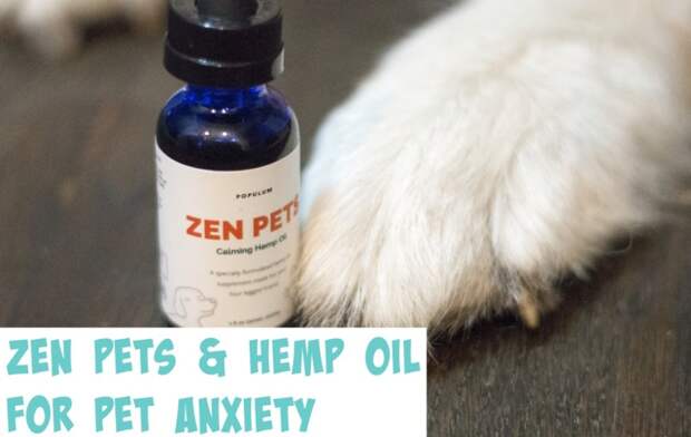 Zen Pets and Hemp Oil for Pet Anxiety