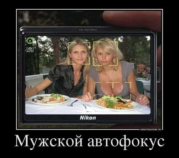 Прикольные демотиваторы с надписями. Подборка chert-poberi-dem-chert-poberi-dem-24490317082020-12 картинка chert-poberi-dem-24490317082020-12