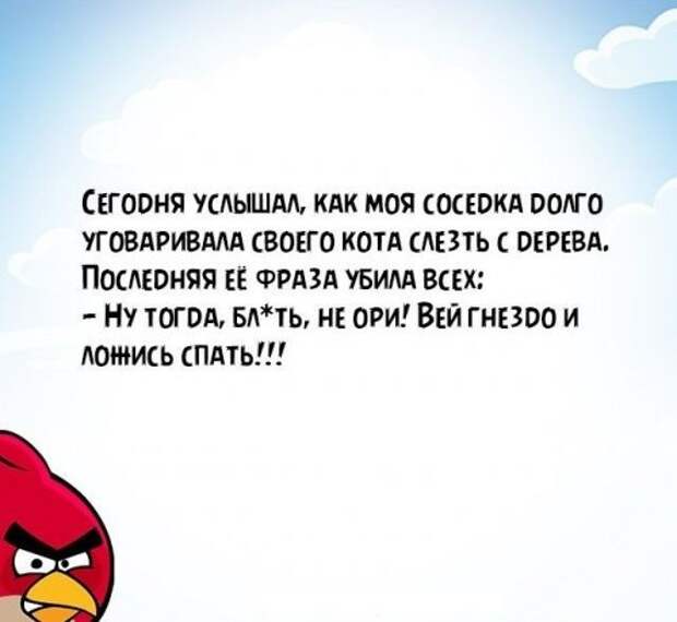Злые мысли человечества в прикольных открытках (24 фото)