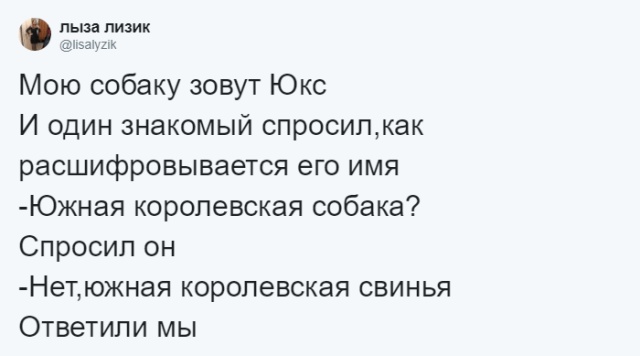 Кто во что горазд, или как правильно назвать своего питомца Кто во что горазд, или как правильно назвать своего питомца
