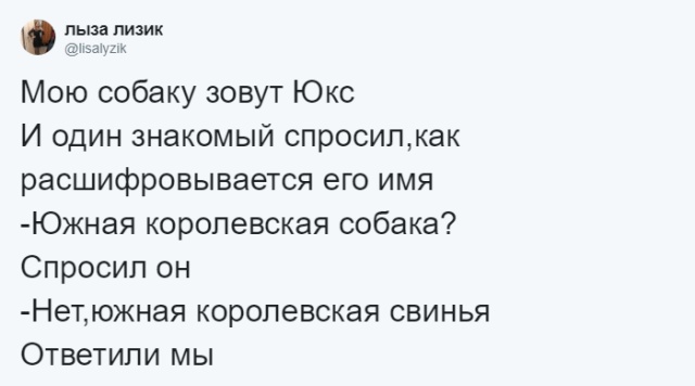 Кто во что горазд, или как правильно назвать своего питомца