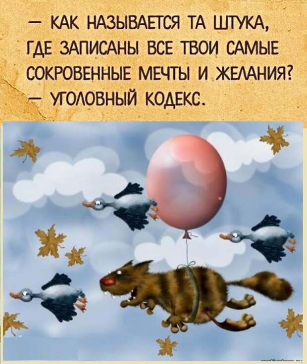 Картинки с надписями,истории и анекдоты