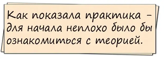 Инженер, бухгалтер, химик и государственный служащий поспорили, чей кот умнее...