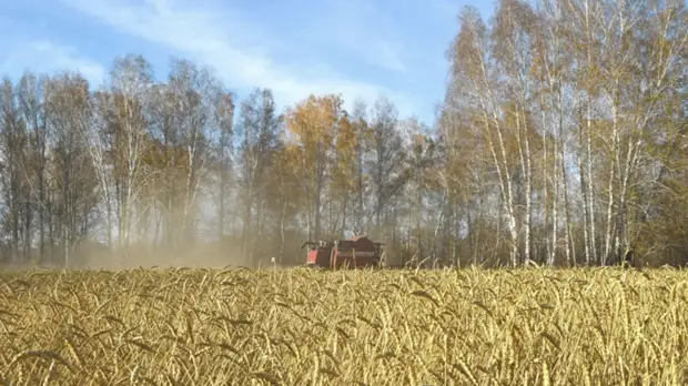 Минсельхоз назвал объём ущерба аграриев от ЧС в 2019 году