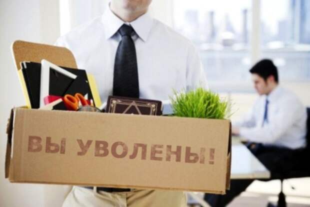 Раздули из мухи слона?
