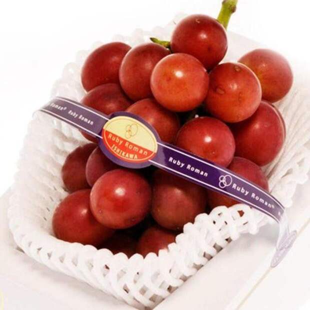 www.vsyako.net