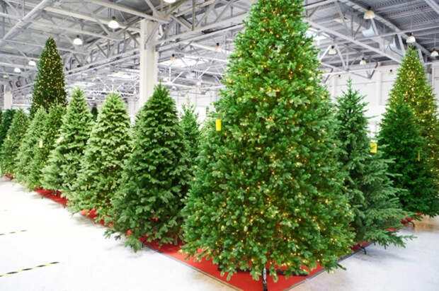 Врач посоветовала мыть и сушить искусственные елки перед Новым годом