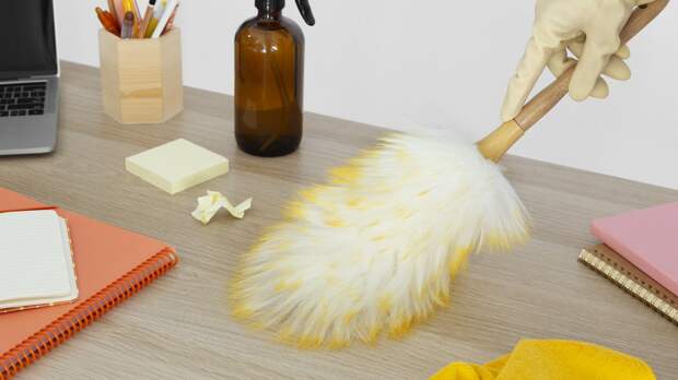 Роспотребнадзор: Домашняя пыль состоит из минеральных частиц и чешуек кожи