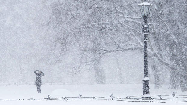 В Москве начался снегопад с крупными снежными хлопьями