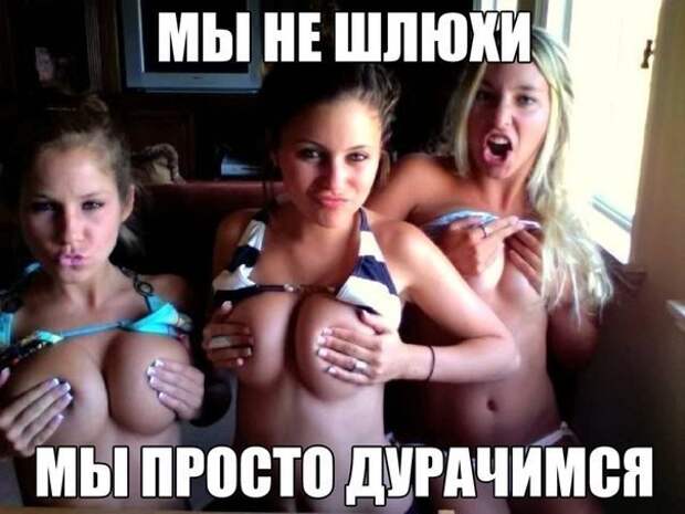 Смешные картинки с надписями прикол, юмор