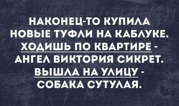 Веселые картинки и забавные фото с надписью со смыслом (11 фото)