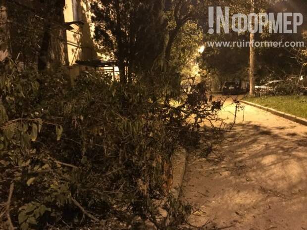 Упало в Севастополе и давай валяться...