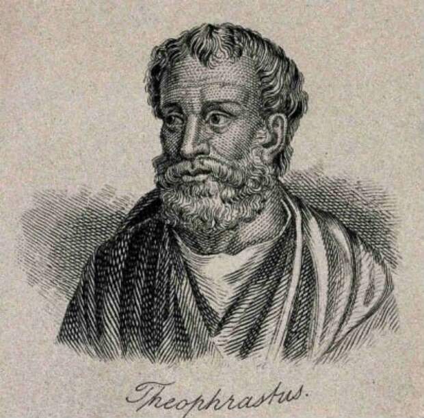 theophrastus-610x601