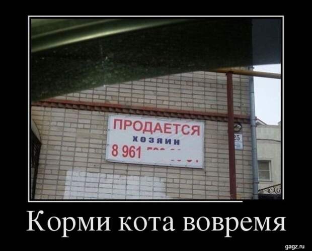 demotivators_funny_pics_gagz_ru_001173