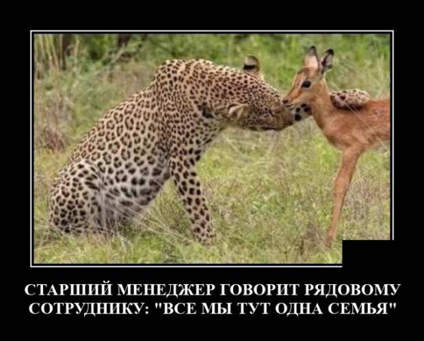 Демотиваторы 14 июля 2021