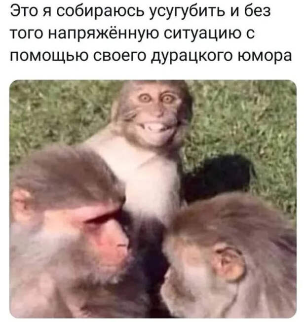 Подборка мемов в маленькую пятницу