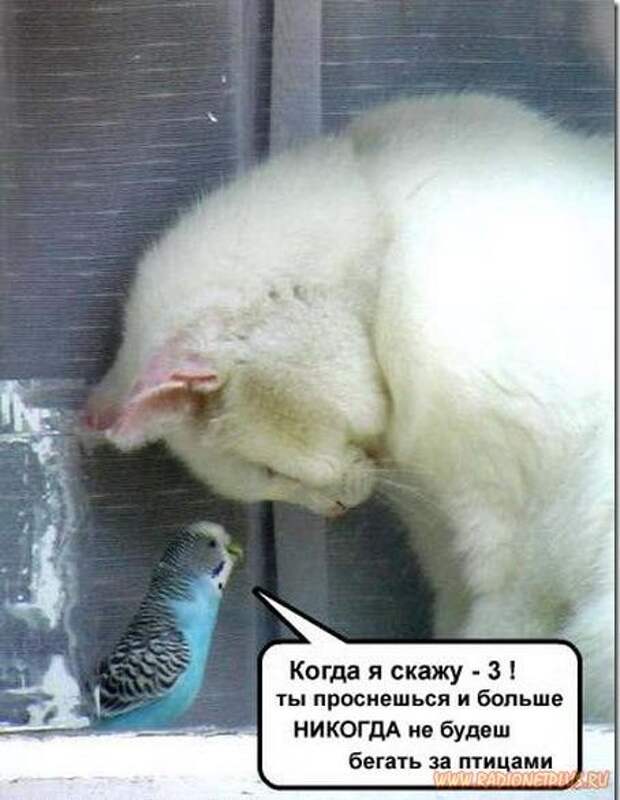 Немного улыбки...