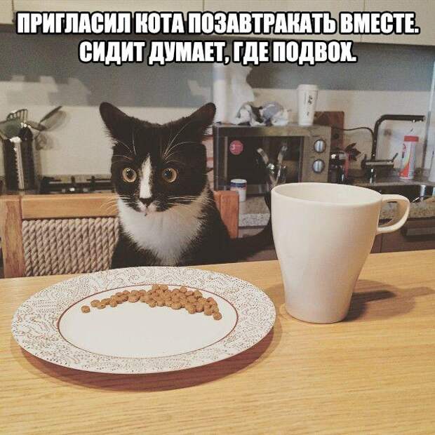 L_-8scWHRao
