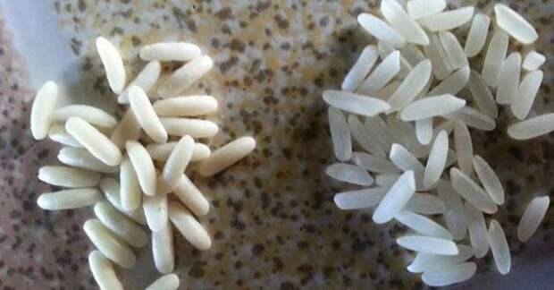 Что будет, если набрать рис в ложку и поджечь его?