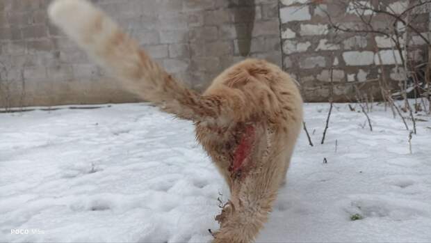 Из переклички