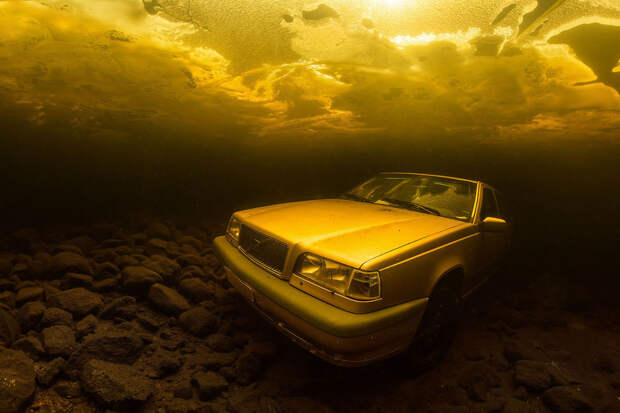 Невероятные кадры победителей конкурса подводной фотографии
