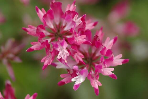 Есть только миг между прошлым и будущем... Есть только миг между прошлым и будущем...