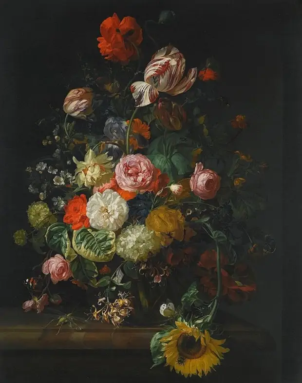  Rachel Ruysch (1664  1750).   