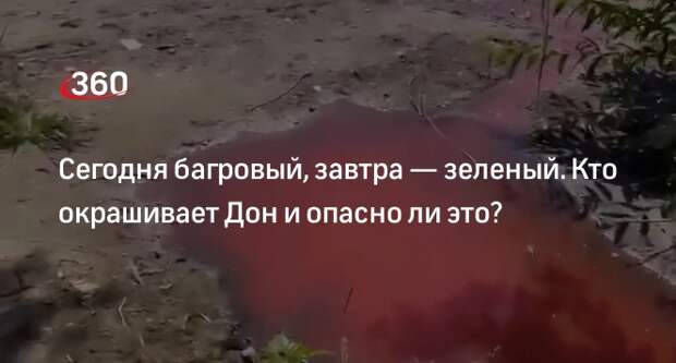 Эксперт Минприроды Ростовской области Смирнова: Дон стал зеленым из-за уранина