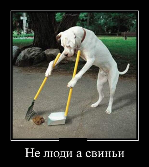 Свежие демотиваторы (26 шт)