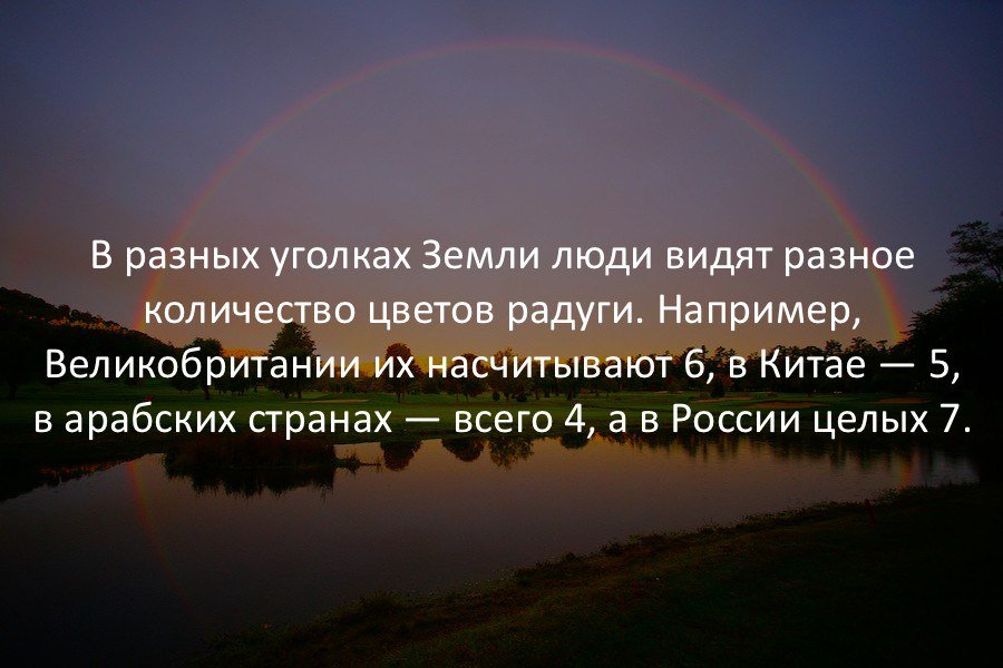 Интересные факты в картинках