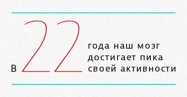 мозг4 мозг4